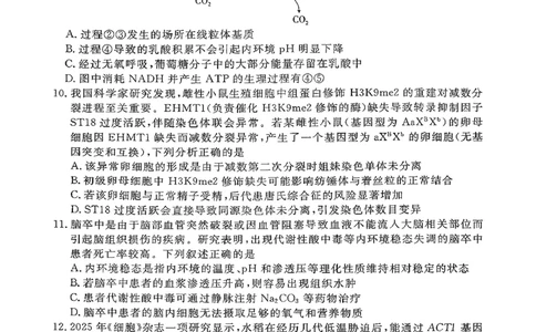 生物试卷湛江市2026年普通高考测试(一)(1)_2026年1月_260128广东省湛江市高三年级2026年高考测试（一）(湛江一模)（全科）_2026届湛江市高三上学期普通高考测试（一）生物试题含答案