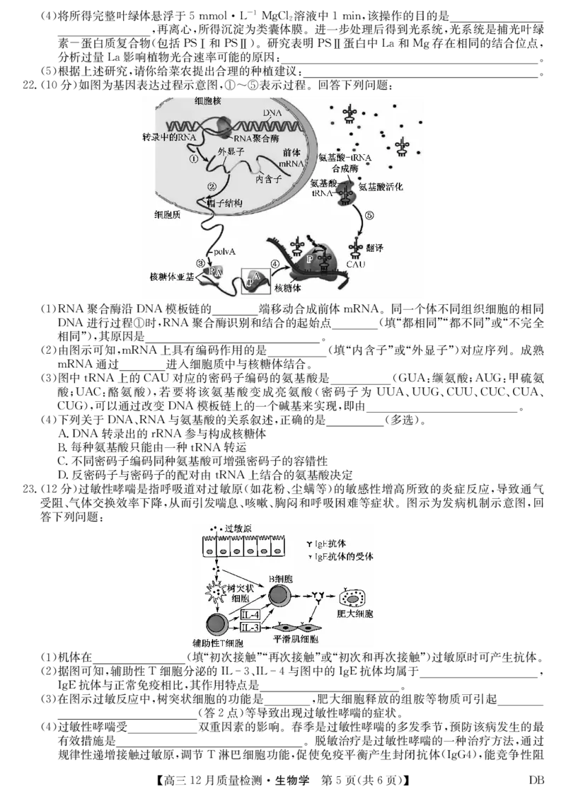 生物-12月质量检测（DB）(1)_2026年1月_260104九师联盟高三12月质量检测(12月29日)（黑龙江、吉林、辽宁、内蒙古）_12月质量检测（黑龙江、吉林、辽宁、内蒙古）试卷+卡