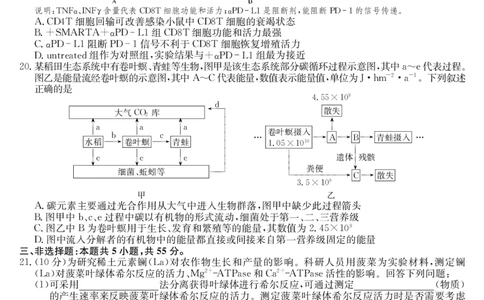 生物-12月质量检测（DB）(1)_2026年1月_260104九师联盟高三12月质量检测(12月29日)（黑龙江、吉林、辽宁、内蒙古）_12月质量检测（黑龙江、吉林、辽宁、内蒙古）试卷+卡