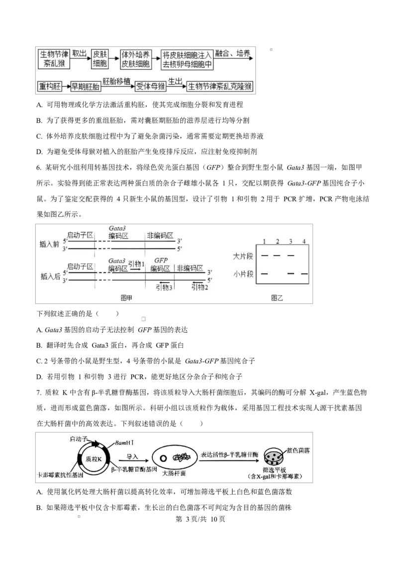 陕西省咸阳市实验中学2026届高三上学期第二次质量检测+生物_2025年10月_12026年试卷教辅资源等多个文件_251019陕西省咸阳市实验中学2026届高三上学期第二次质量检测（全科）