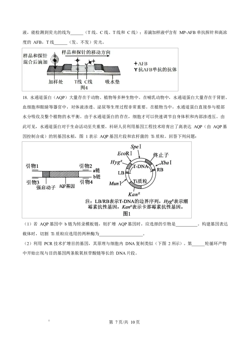 陕西省咸阳市实验中学2026届高三上学期第二次质量检测+生物_2025年10月_12026年试卷教辅资源等多个文件_251019陕西省咸阳市实验中学2026届高三上学期第二次质量检测（全科）