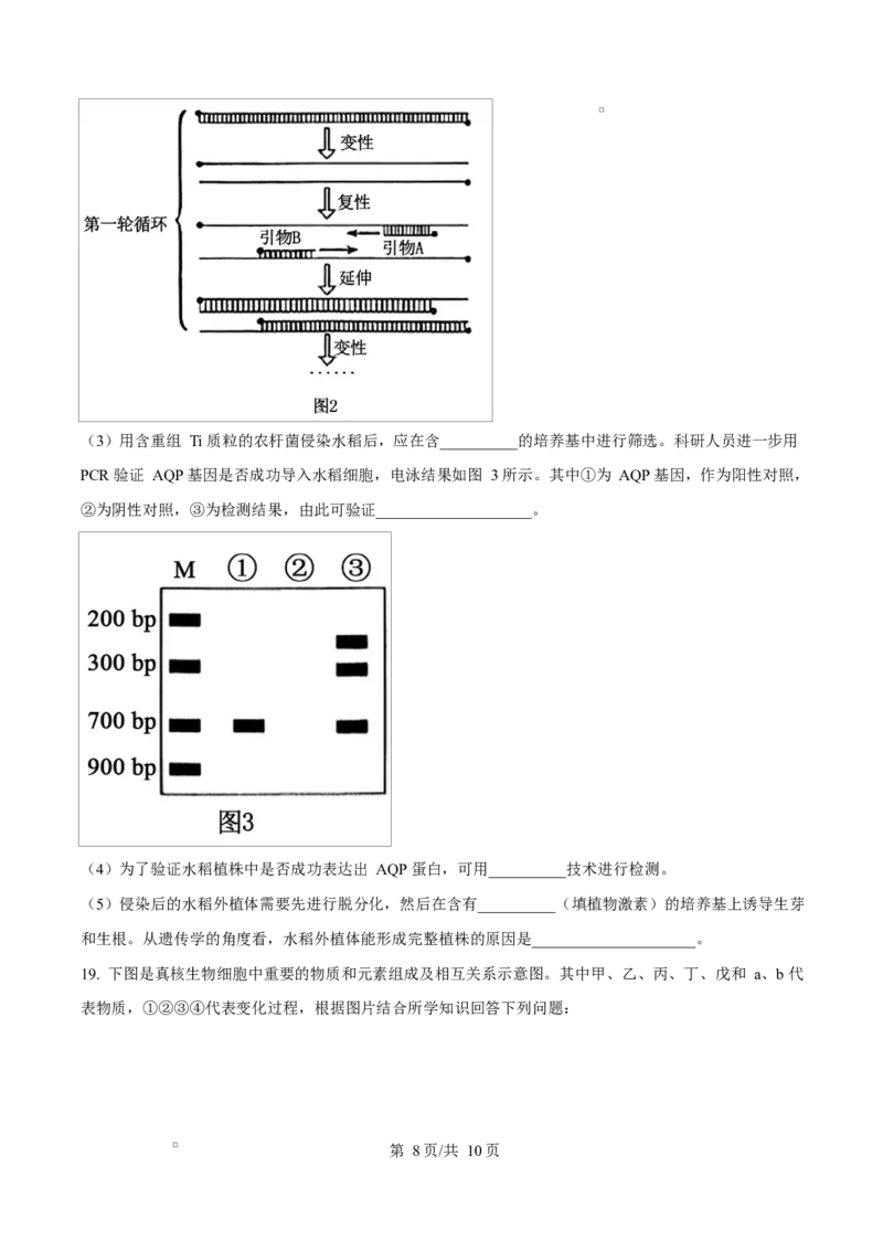 陕西省咸阳市实验中学2026届高三上学期第二次质量检测+生物_2025年10月_12026年试卷教辅资源等多个文件_251019陕西省咸阳市实验中学2026届高三上学期第二次质量检测（全科）