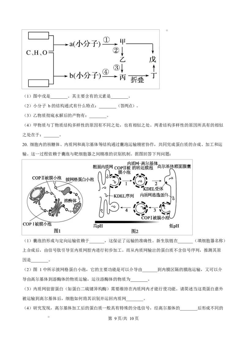 陕西省咸阳市实验中学2026届高三上学期第二次质量检测+生物_2025年10月_12026年试卷教辅资源等多个文件_251019陕西省咸阳市实验中学2026届高三上学期第二次质量检测（全科）