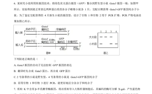 陕西省咸阳市实验中学2026届高三上学期第二次质量检测+生物_2025年10月_12026年试卷教辅资源等多个文件_251019陕西省咸阳市实验中学2026届高三上学期第二次质量检测（全科）