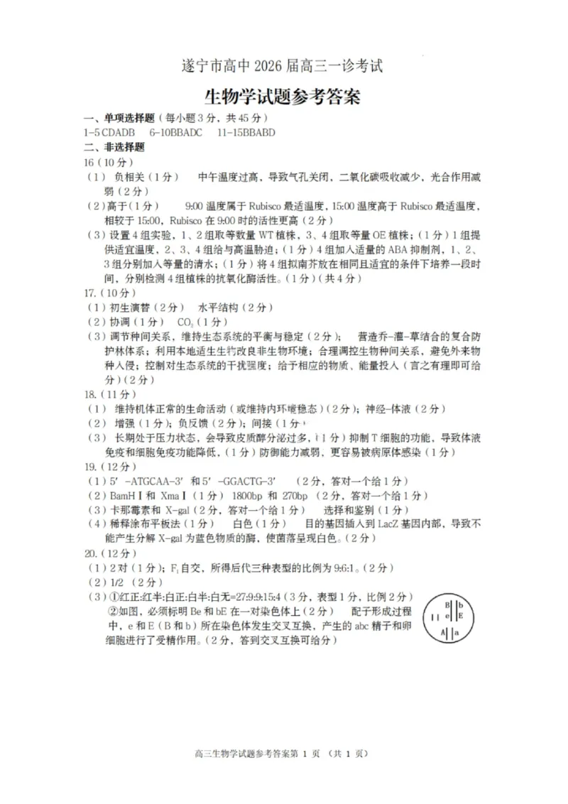 生物答案-遂宁市高中2026届高三一诊考试(1)_2026年1月_260124四川省遂宁市高中2026届高三一诊考试（全科）