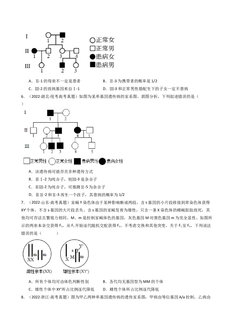 专题13伴性遗传和人类遗传病（原卷卷）_近10年高考真题汇编（必刷）_十年（2014-2024）高考生物真题分项汇编（全国通用）_十年（2014-2023）高考生物真题分项汇编（全国通用）