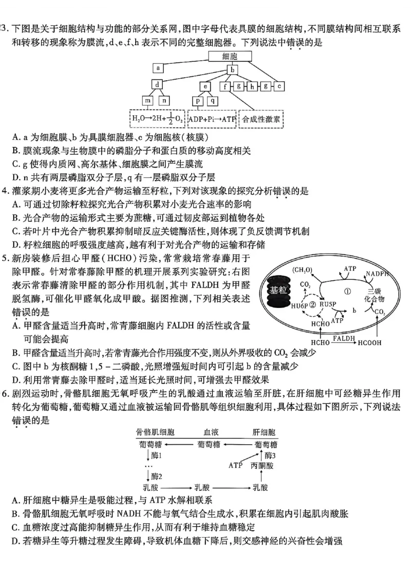 生物南开中学2026届高三第五次质量检测试卷(1)_2026年1月_260105重庆市南开中学2026届高三第五次质量检测（全科）