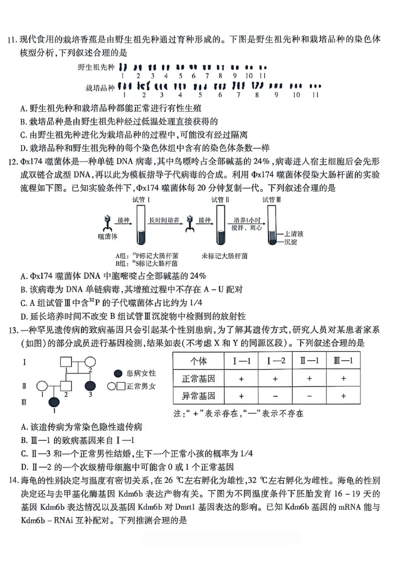 生物南开中学2026届高三第五次质量检测试卷(1)_2026年1月_260105重庆市南开中学2026届高三第五次质量检测（全科）