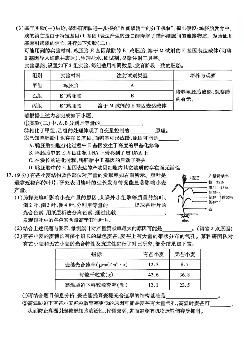 生物南开中学2026届高三第五次质量检测试卷(1)_2026年1月_260105重庆市南开中学2026届高三第五次质量检测（全科）