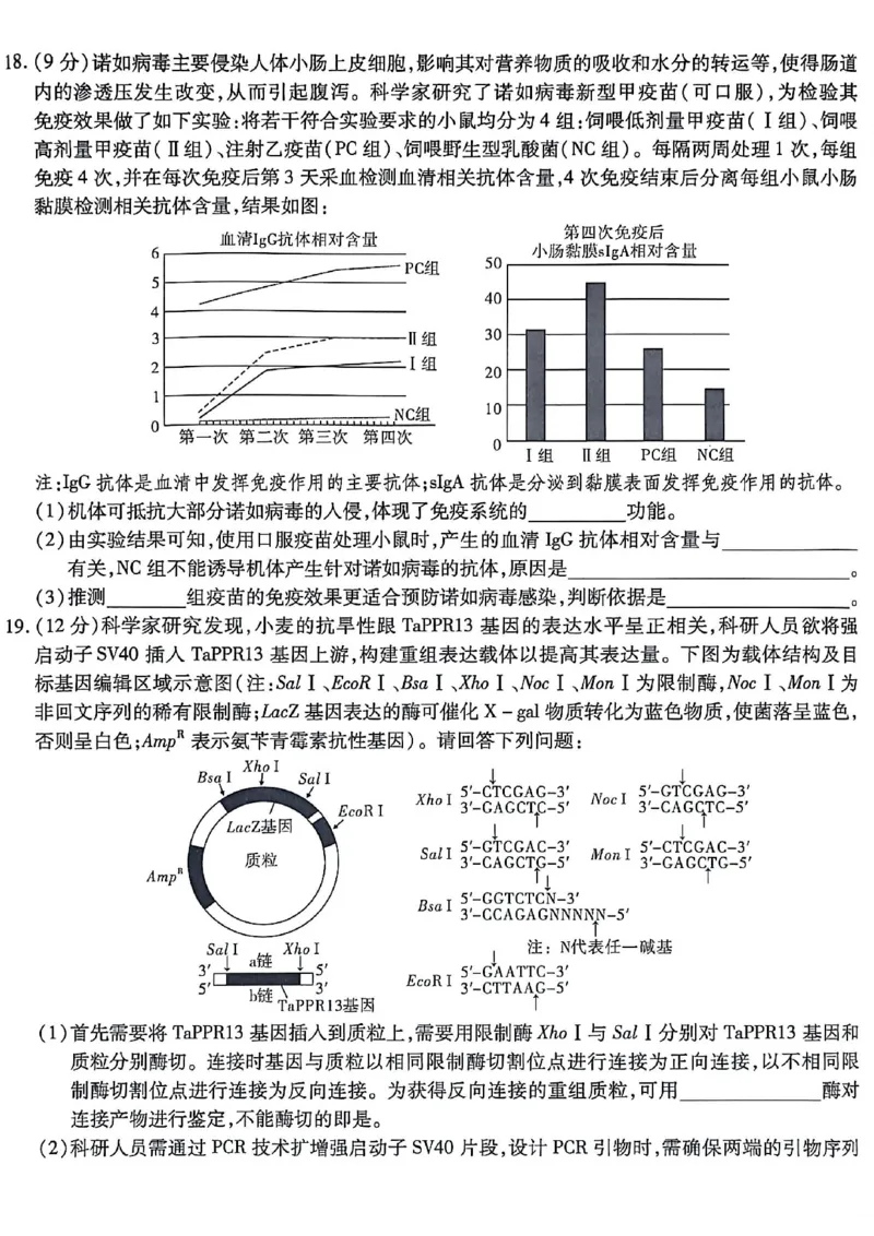 生物南开中学2026届高三第五次质量检测试卷(1)_2026年1月_260105重庆市南开中学2026届高三第五次质量检测（全科）