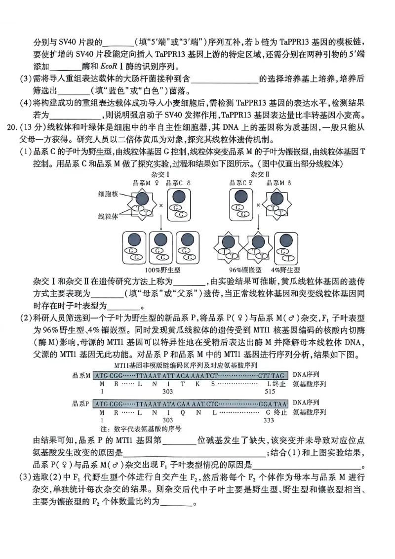 生物南开中学2026届高三第五次质量检测试卷(1)_2026年1月_260105重庆市南开中学2026届高三第五次质量检测（全科）