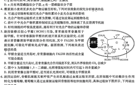 生物南开中学2026届高三第五次质量检测试卷(1)_2026年1月_260105重庆市南开中学2026届高三第五次质量检测（全科）