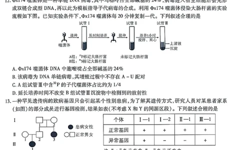 生物南开中学2026届高三第五次质量检测试卷(1)_2026年1月_260105重庆市南开中学2026届高三第五次质量检测（全科）