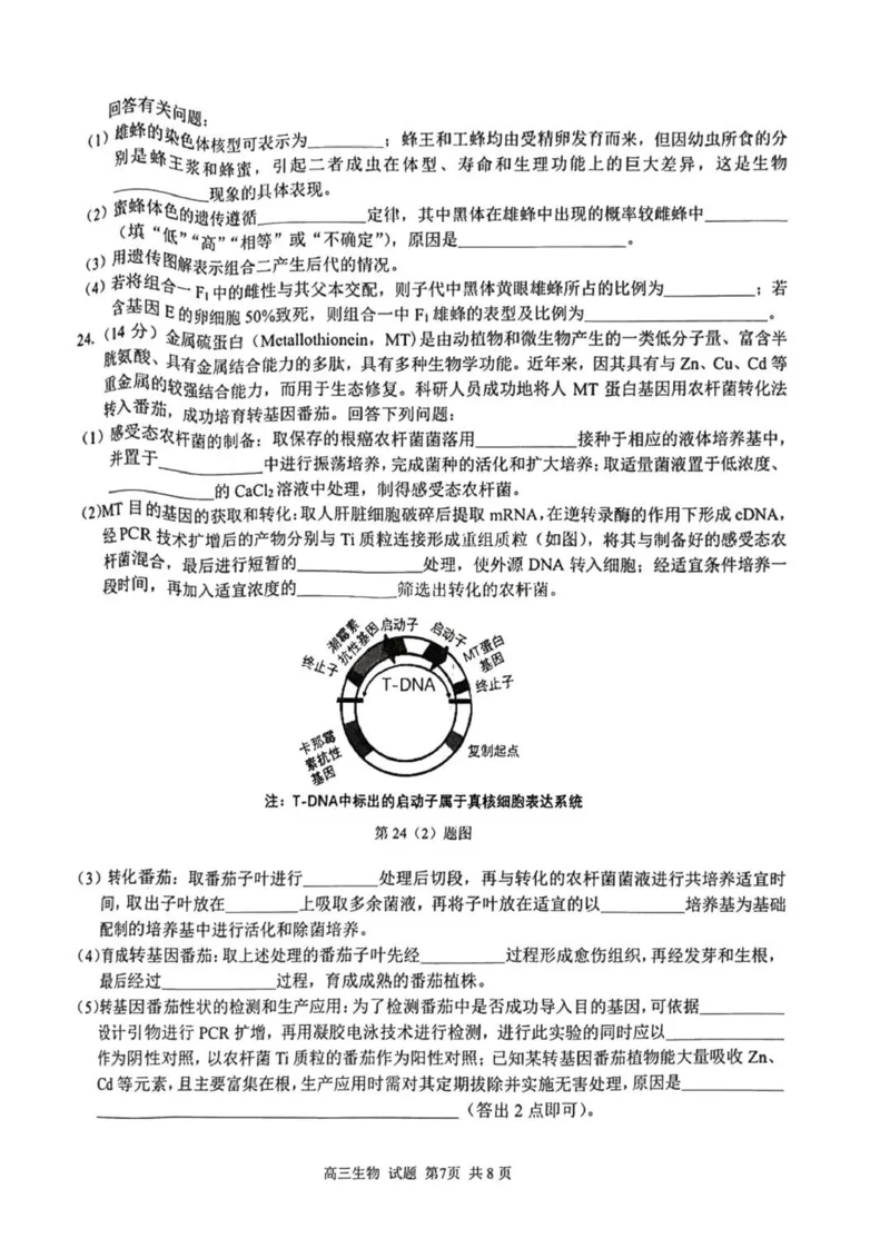七彩阳光高三上(开学考)-生物试题+答案(1)_2023年9月_029月合集_2024届浙江省七彩阳光高三上学期返校联考