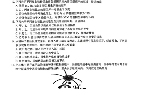 七彩阳光高三上(开学考)-生物试题+答案(1)_2023年9月_029月合集_2024届浙江省七彩阳光高三上学期返校联考