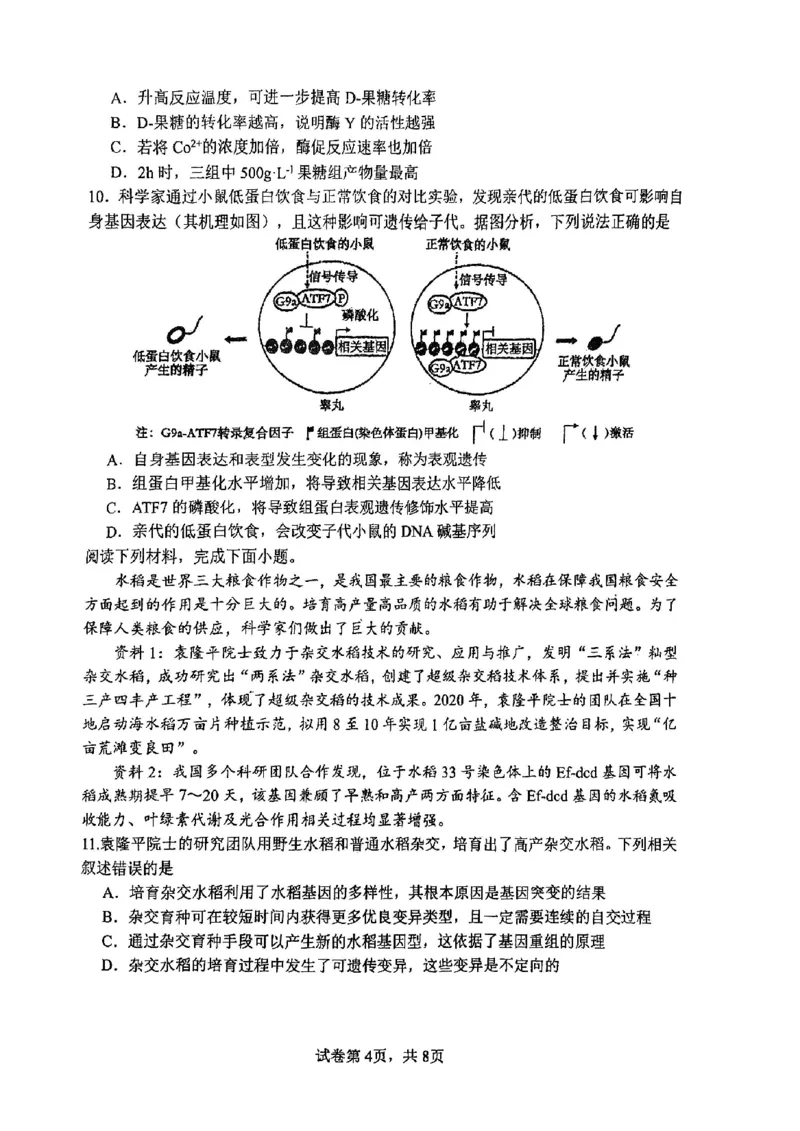 南开中学（高三上学期）第二次月考（生物）2025-2026学年试卷(1)_2026年1月_260103天津市南开中学2025-2026学年高三上学期第二次月考