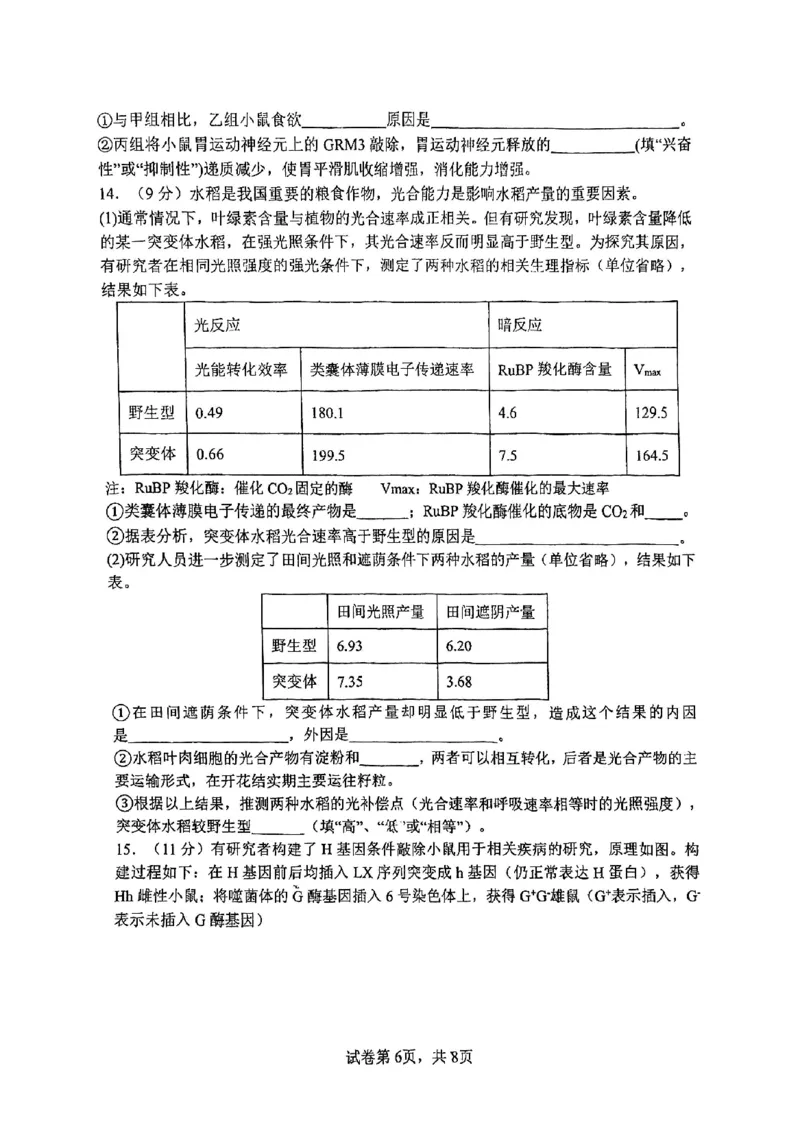 南开中学（高三上学期）第二次月考（生物）2025-2026学年试卷(1)_2026年1月_260103天津市南开中学2025-2026学年高三上学期第二次月考