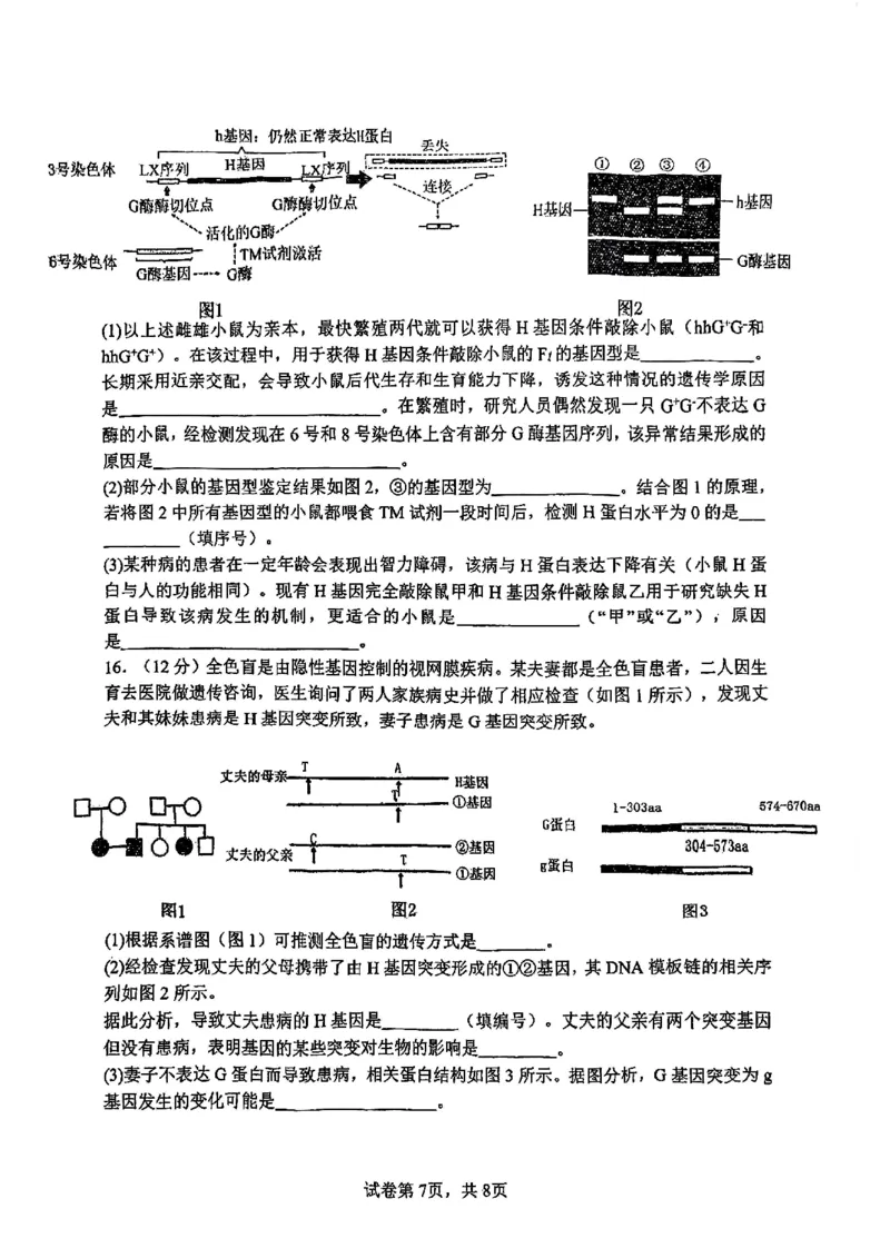 南开中学（高三上学期）第二次月考（生物）2025-2026学年试卷(1)_2026年1月_260103天津市南开中学2025-2026学年高三上学期第二次月考
