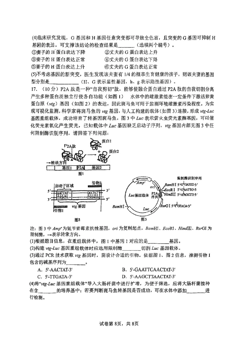 南开中学（高三上学期）第二次月考（生物）2025-2026学年试卷(1)_2026年1月_260103天津市南开中学2025-2026学年高三上学期第二次月考