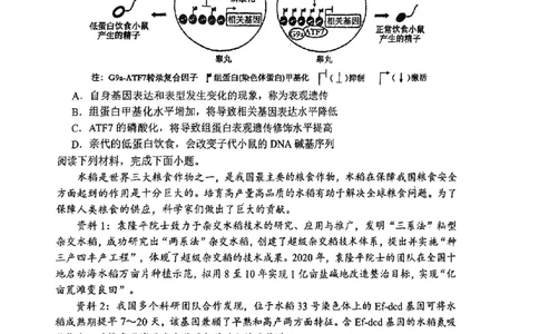 南开中学（高三上学期）第二次月考（生物）2025-2026学年试卷(1)_2026年1月_260103天津市南开中学2025-2026学年高三上学期第二次月考