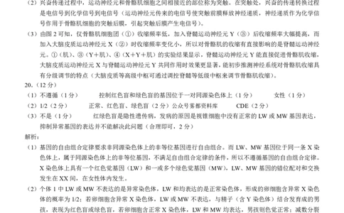 生物2026届高三高考模拟调研（一）答案(1)_2026年1月_2601072026年重庆市高三康德高考模拟调研卷（一）（全科）
