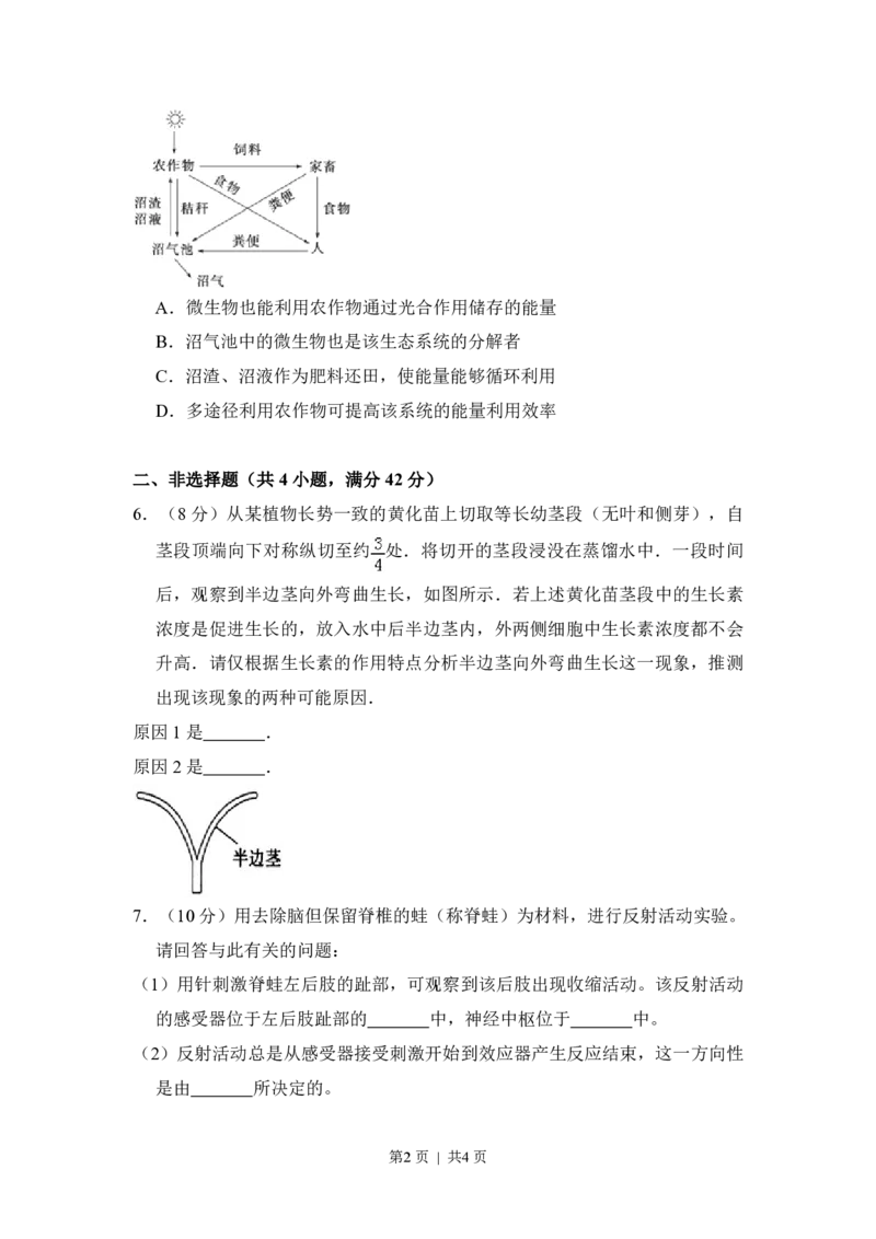 2010年高考生物试卷（全国卷Ⅰ）（空白卷）_生物历年高考真题_新&middot;PDF版2008-2025&middot;高考生物真题_生物（按省份分类）2008-2025_2008-2025&middot;（湖南）生物高考真题