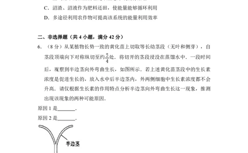 2010年高考生物试卷（全国卷Ⅰ）（空白卷）_生物历年高考真题_新&middot;PDF版2008-2025&middot;高考生物真题_生物（按省份分类）2008-2025_2008-2025&middot;（湖南）生物高考真题