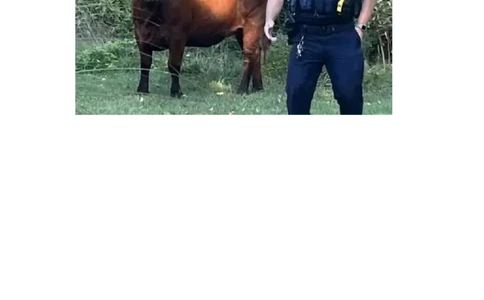 2026年浙江首考读后续写原文和翻译(1)_2026年1月_260127浙江省2026年1月普通高校招生选考首考_2026年1月浙江省普通高校招生选考英语