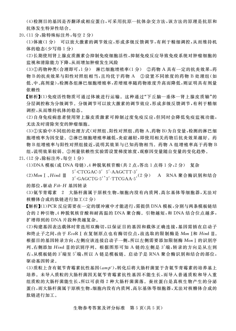 湛江市2026年普通高考测试（一）生物答案(1)(1)_2026年1月_260128广东省湛江市高三年级2026年高考测试（一）(湛江一模)（全科）