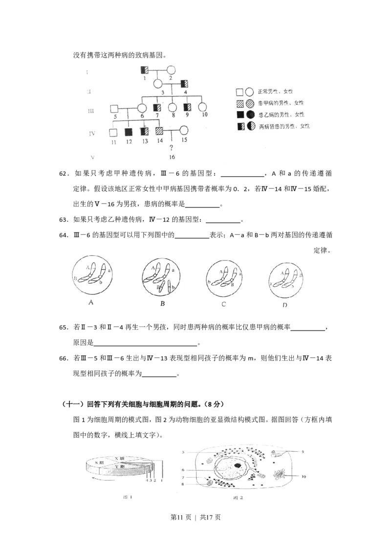 2011年高考生物试卷（上海）（解析卷）_生物历年高考真题_新&middot;PDF版2008-2025&middot;高考生物真题_生物（按年份分类）2008-2025_2011&middot;高考生物真题
