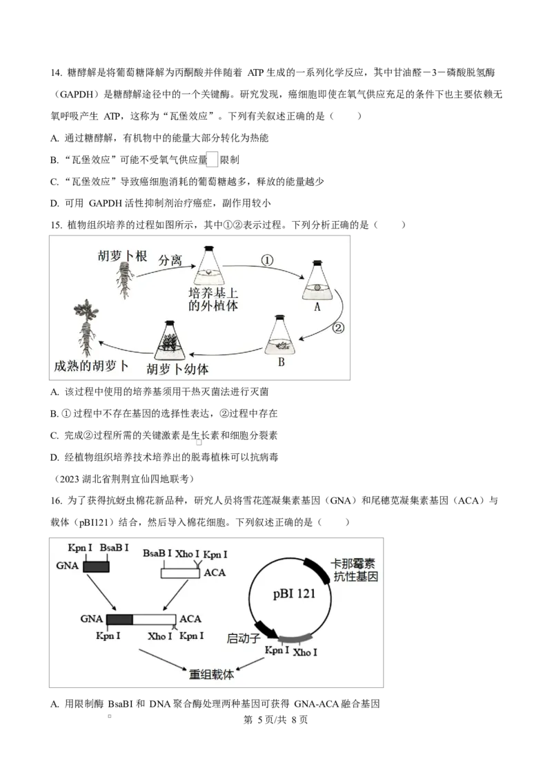 贵州省贵阳市第一中学2026届高三上学期9月开学考试+生物_2025年9月_250909贵州省贵阳市第一中学2026届高三上学期9月开学考试（全科）
