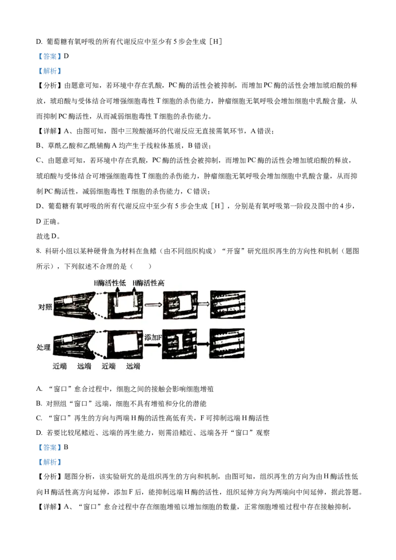 精品解析：2024年重庆新课标高考生物试卷（解析版）_高考真题全网收集_生物学_2024年新高考重庆卷生物高考真题解析（参考版）