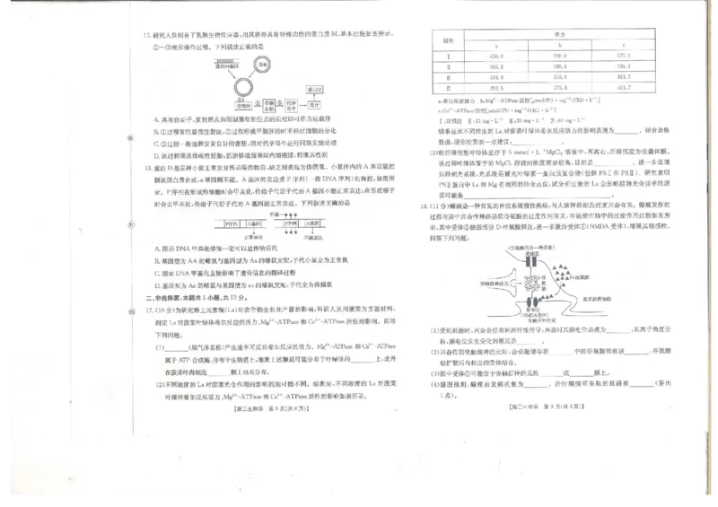 贵州省金太阳2025-2026学年高三上学期9月联考生物试题（含答案）_2025年10月_251002贵州省金太阳2025-2026学年高三上学期9月联考（全科）