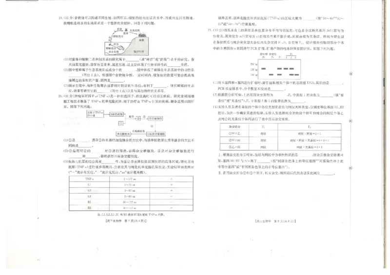 贵州省金太阳2025-2026学年高三上学期9月联考生物试题（含答案）_2025年10月_251002贵州省金太阳2025-2026学年高三上学期9月联考（全科）