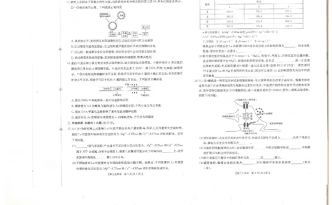 贵州省金太阳2025-2026学年高三上学期9月联考生物试题（含答案）_2025年10月_251002贵州省金太阳2025-2026学年高三上学期9月联考（全科）
