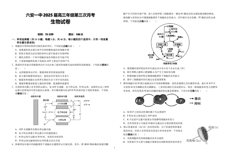 安徽省六安市金安区安徽省六安第一中学2024-2025学年高三上学期11月月考生物试题_11月_2411042025安徽省六安第一中学高三上学期第三次月考