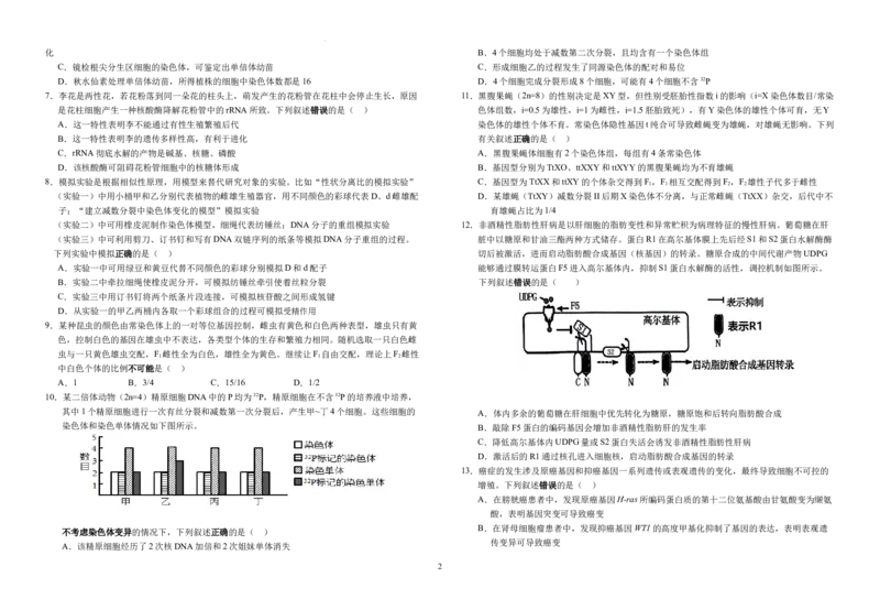 安徽省六安市金安区安徽省六安第一中学2024-2025学年高三上学期11月月考生物试题_11月_2411042025安徽省六安第一中学高三上学期第三次月考