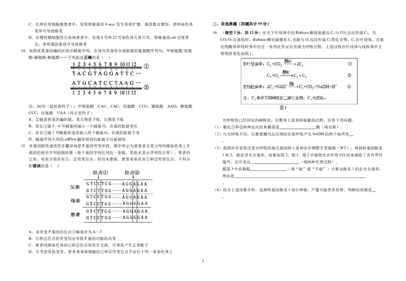 安徽省六安市金安区安徽省六安第一中学2024-2025学年高三上学期11月月考生物试题_11月_2411042025安徽省六安第一中学高三上学期第三次月考