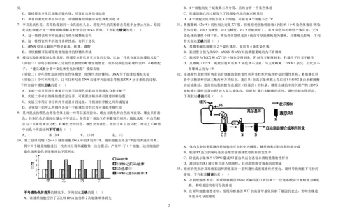 安徽省六安市金安区安徽省六安第一中学2024-2025学年高三上学期11月月考生物试题_11月_2411042025安徽省六安第一中学高三上学期第三次月考