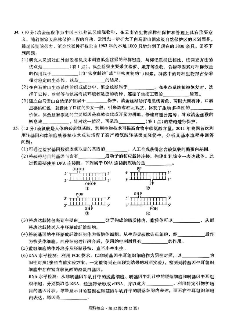 云南省昆明市第一中学2023-2024学年高三上学期第三次双基检测理综试卷(1)_2023年10月_0210月合集_2024届云南省昆明市第一中学高三第三次双基检测