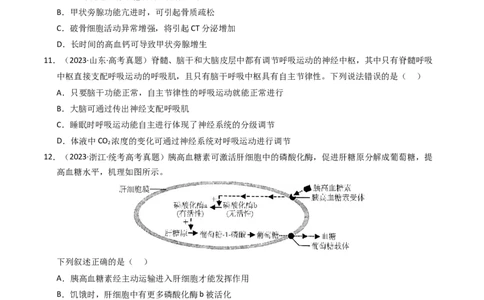 专题13体液调节（学生卷）_近10年高考真题汇编（必刷）_十年（2014-2024）高考生物真题分项汇编（全国通用）_2023年高考真题和模拟题生物分项汇编（全国通用）