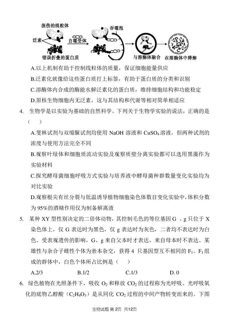 山东省菏泽市定陶区明德学校（山大附中实验学校）2022-2023学年高三上学期开学考试生物试题(1)_2023年8月_028月合集