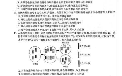 江苏省南通市2026届高三上学期学业质量监测生物试题(1)_2026年1月_260130江苏省南通市2026届高三年级上学期学业质量监测（南通一模）（全科）