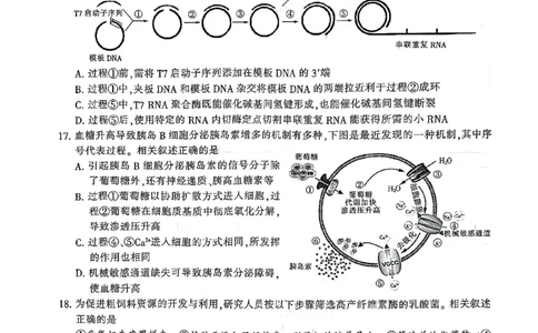 江苏省南通市2026届高三上学期学业质量监测生物试题(1)_2026年1月_260130江苏省南通市2026届高三年级上学期学业质量监测（南通一模）（全科）