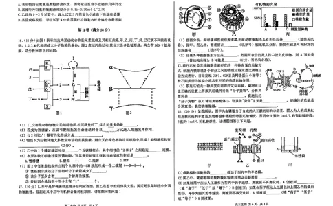 天津市第四十七中学2024届高三上学期第一次月考生物_2023年9月_01每日更新_26号_2024届天津市第四十七中学高三上学期第一次月考_天津市第四十七中学2024届高三上学期第一次月考生物