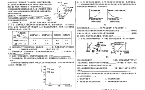天津市第四十七中学2024届高三上学期第一次月考生物_2023年9月_01每日更新_26号_2024届天津市第四十七中学高三上学期第一次月考_天津市第四十七中学2024届高三上学期第一次月考生物