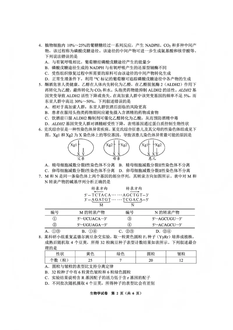 毕节市2026届高三年级高考第一次适应性考试生物(1)_2026年1月_260119贵州省毕节市2026届高三年级高考第一次适应性考试（毕节一诊）（全）