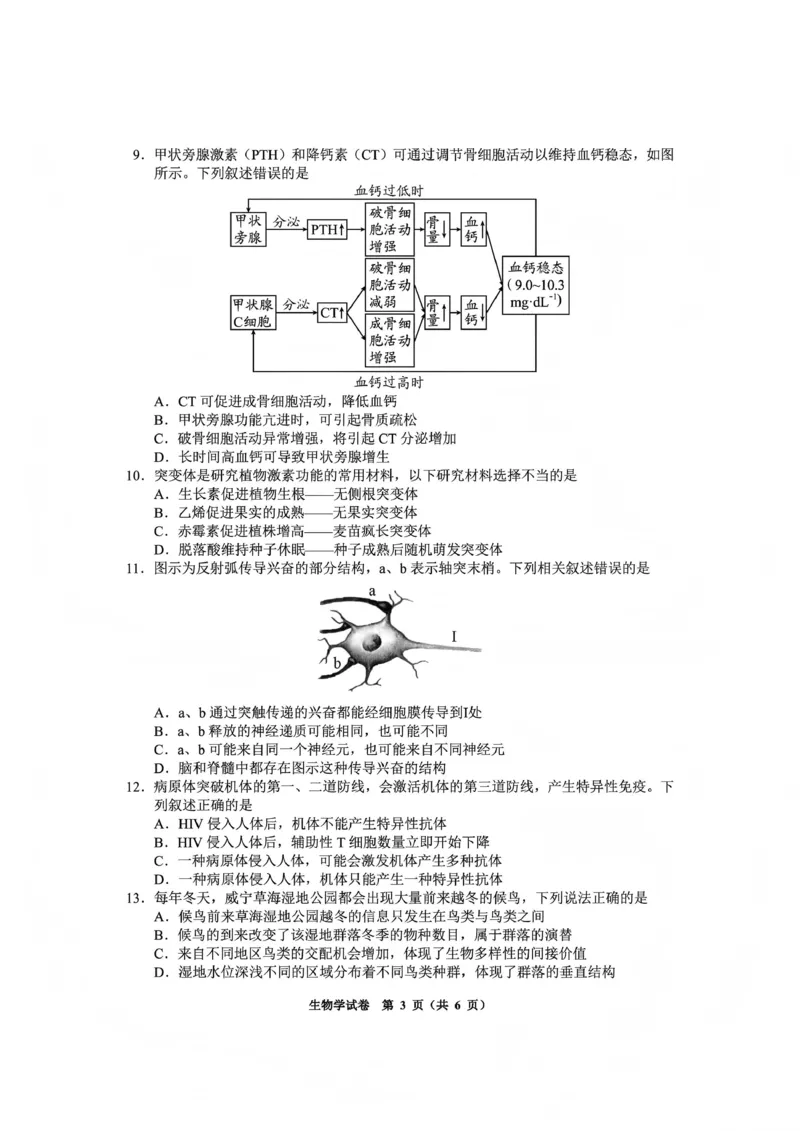 毕节市2026届高三年级高考第一次适应性考试生物(1)_2026年1月_260119贵州省毕节市2026届高三年级高考第一次适应性考试（毕节一诊）（全）
