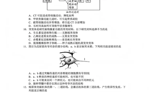 毕节市2026届高三年级高考第一次适应性考试生物(1)_2026年1月_260119贵州省毕节市2026届高三年级高考第一次适应性考试（毕节一诊）（全）