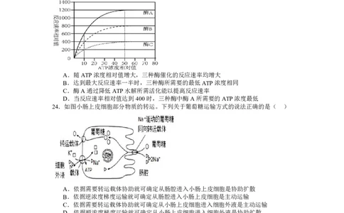 山西省运城市景胜学校（东校区）2023-2024学年高三上学期10月月考（B）卷生物试题(1)_2023年10月_0210月合集_2024届山西省运城市景胜学校（东校区）高三上学期10月月考